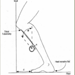 lunge test