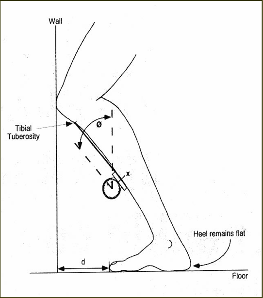 lunge test